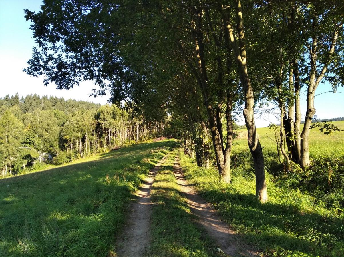 Vila Celoroční GLAMPING v pohodlném domečku Výprachtice Exteriér fotografie