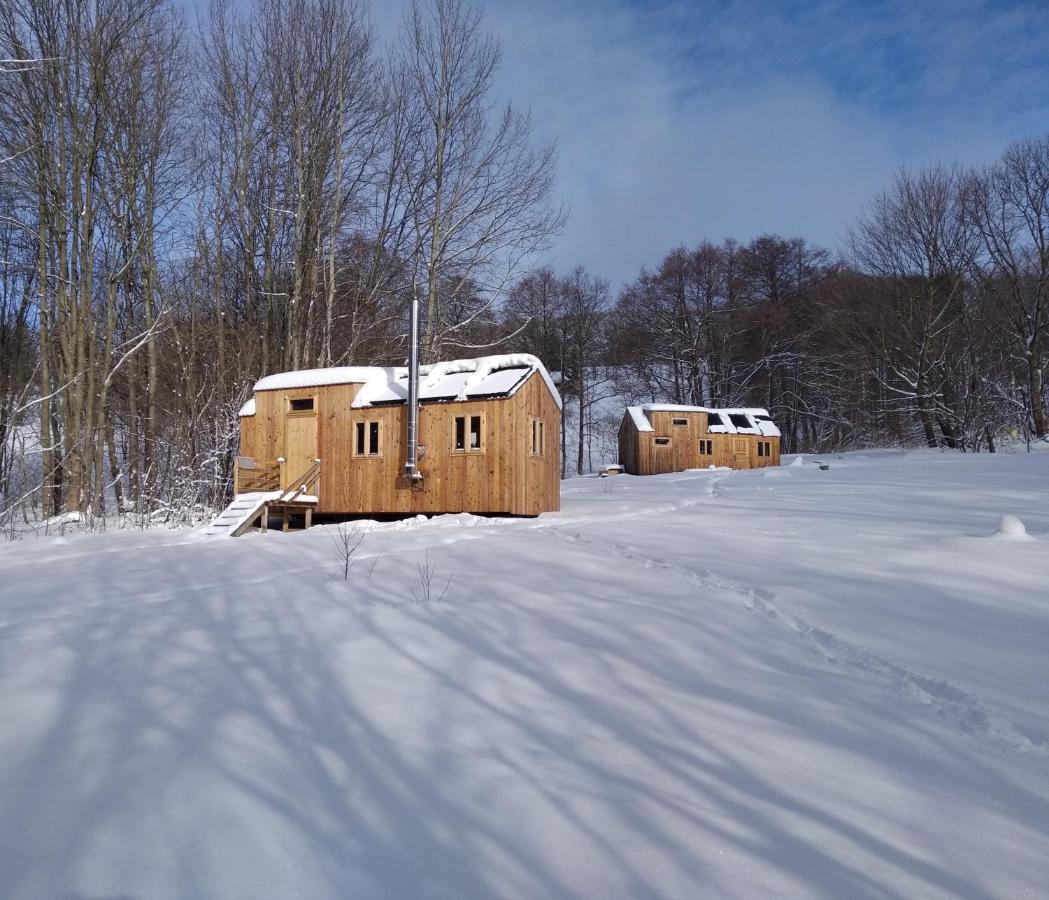 Vila Celoroční GLAMPING v pohodlném domečku Výprachtice Exteriér fotografie